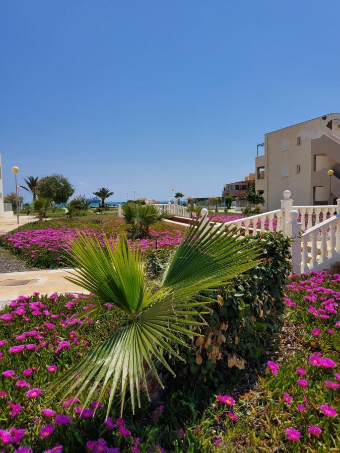 Apartamento Naturista En Primera Linea De Vera Playa!!! Las Bombardas المظهر الخارجي الصورة