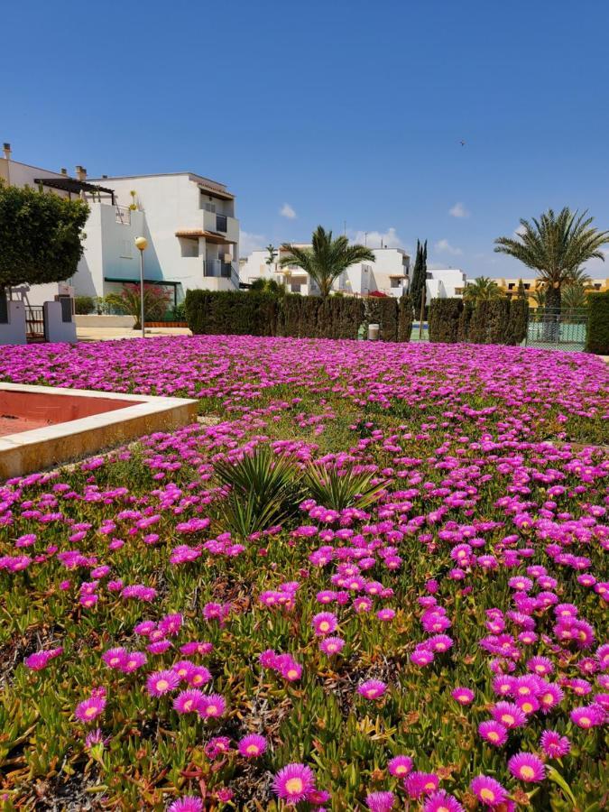 Apartamento Naturista En Primera Linea De Vera Playa!!! Las Bombardas المظهر الخارجي الصورة