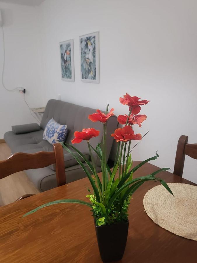 Apartamento Naturista En Primera Linea De Vera Playa!!! Las Bombardas المظهر الخارجي الصورة
